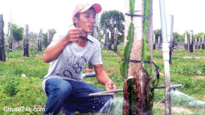 Từ người bốc xếp thành nhà sáng chế - 第1张