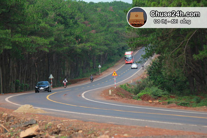 Đẹp hút hồn con đường từ TP.HCM đi Gia Lai - 第4张 - Chư Sê 24h Đẹp hút hồn con đường từ TP.HCM đi Gia Lai - 第4张