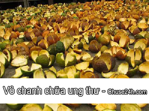 Có phải vỏ chanh chữa ung thư? - 第1张 - Chư Sê 24h Có phải vỏ chanh chữa ung thư? - 第1张