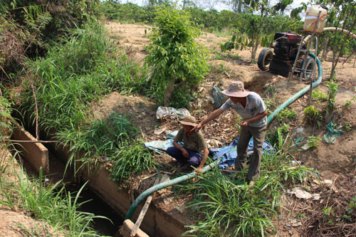 Chư Sê khô khát, thiếu nước - 第1张