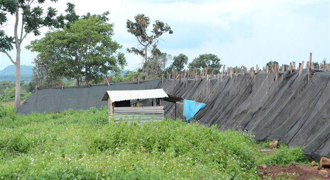 Cách chức chủ tịch xã Al Bá sang 'lên giường' với Chủ tịch Hội phụ nữ - 第1张 - Chư Sê 24h Cách chức chủ tịch xã Al Bá sang 'lên giường' với Chủ tịch Hội phụ nữ - 第1张