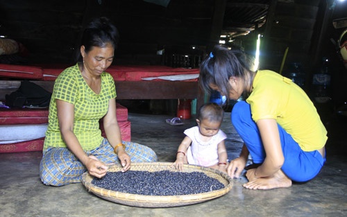 Điều tra vụ lừa đảo chiếm quyền sử dụng đất của dân ở Gia Lai - 第1张