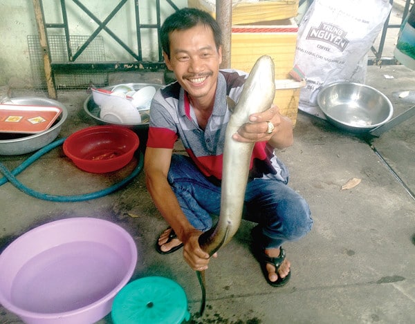 Săn 'cá ma' vùng hồ Ayun Hạ - 第1张