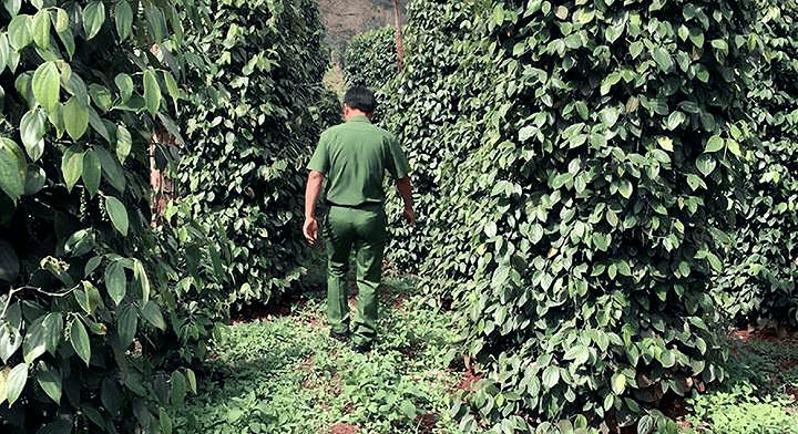 Giả chữ ký chiếm đoạt tài sản, công an huyện nhiệt tình giúp sức - 第1张