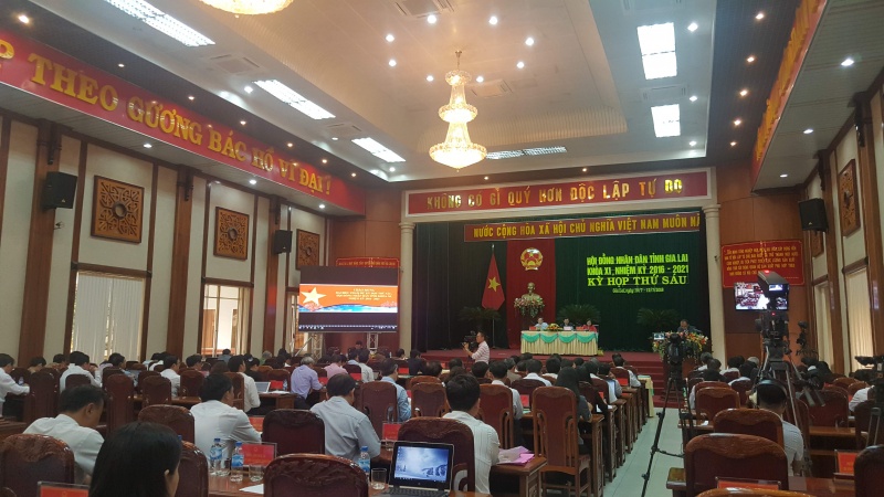 Kiến nghị chuyện cung cấp bò giống ốm yếu cho dân - 第1张