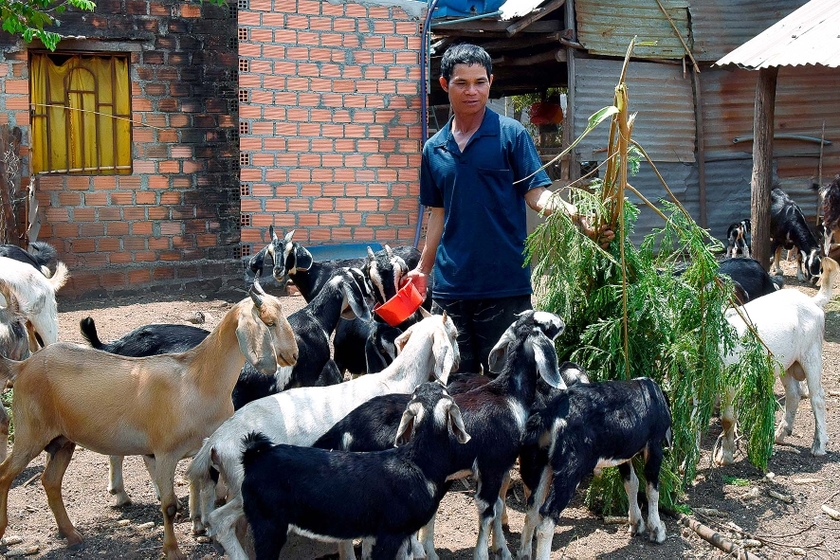 Chư Sê kéo giảm tỷ lệ hộ nghèo nhờ tín dụng chính sách - 第2张