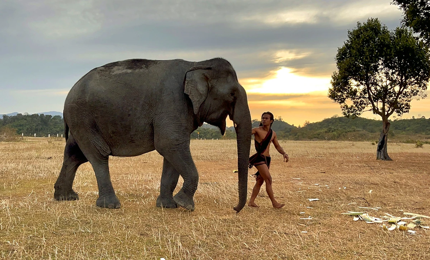 Tây Nguyên bước vào mùa đẹp nhất trong năm - 第10张 - Chư Sê 24h Tây Nguyên bước vào mùa đẹp nhất trong năm - 第10张