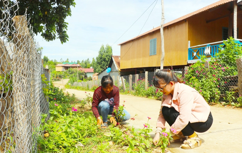 Phụ nữ Gia Lai chung tay xây dựng nông thôn mới - 第2张 - Chư Sê 24h Phụ nữ Gia Lai chung tay xây dựng nông thôn mới - 第2张
