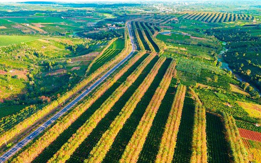 Tây Nguyên bước vào mùa đẹp nhất trong năm - 第1张 - Chư Sê 24h Tây Nguyên bước vào mùa đẹp nhất trong năm - 第1张