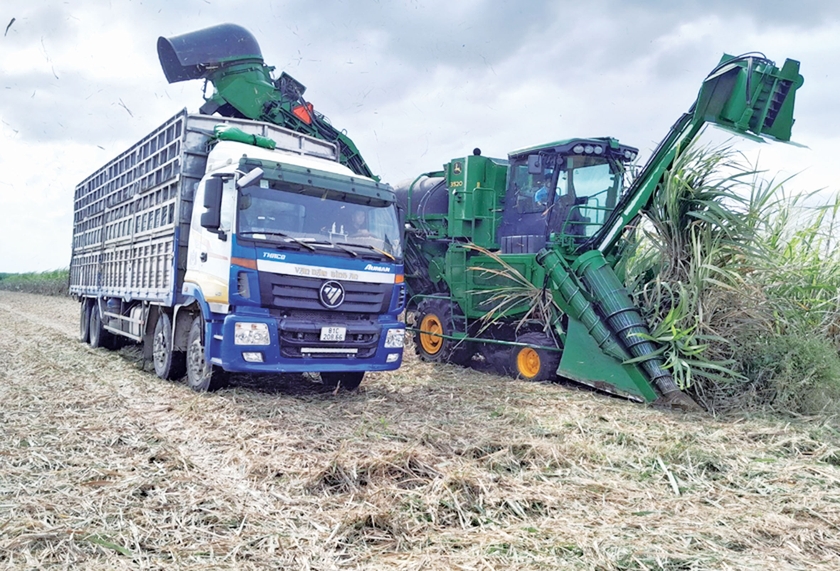 AgriS Gia Lai gắn bó với vùng nguyên liệu mía Đông Nam tỉnh - 第2张