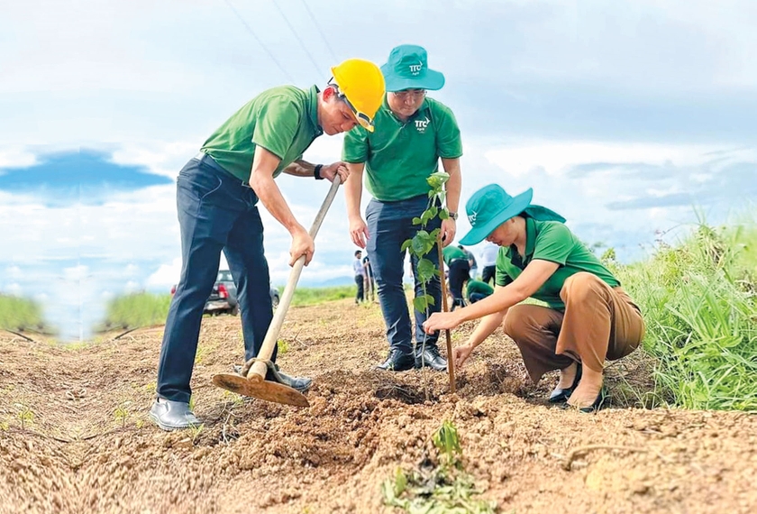 AgriS Gia Lai gắn bó với vùng nguyên liệu mía Đông Nam tỉnh - 第3张