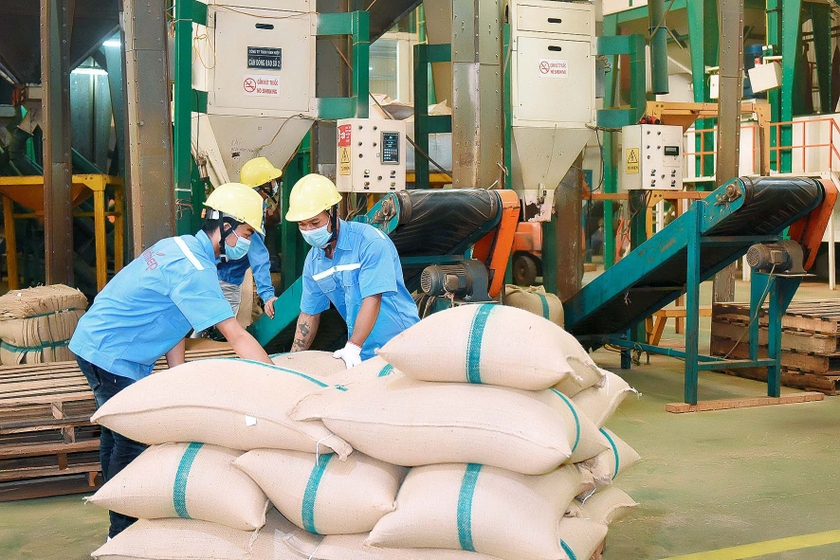 Chính sách giảm thuế là điểm tựa cho doanh nghiệp phục hồi tăng trưởng - 第3张