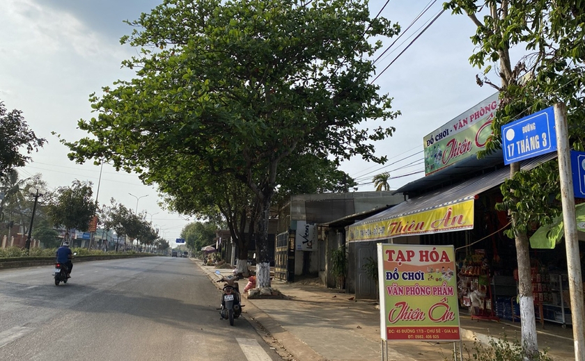 Những con đường mang tên 17 tháng 3 - 第2张