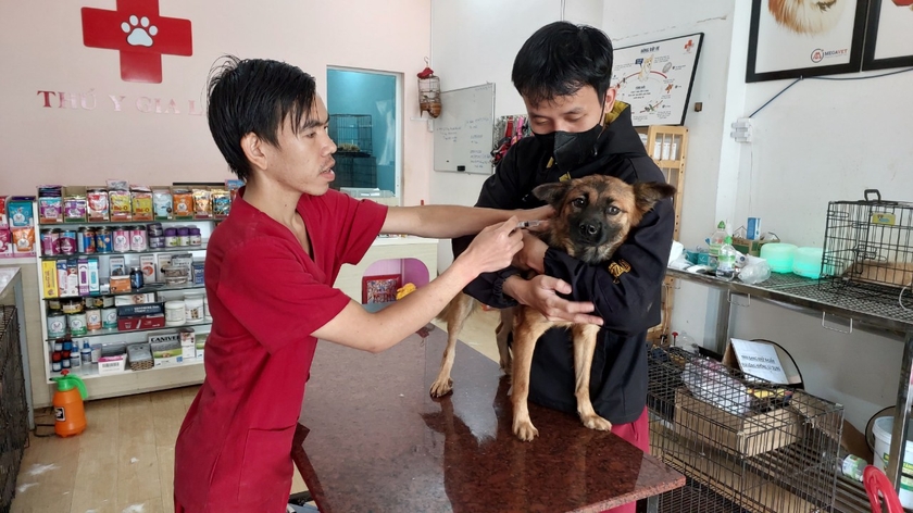 Gia Lai: 9/17 địa phương bố trí kinh phí phòng-chống dịch bệnh động vật năm 2024 - 第1张