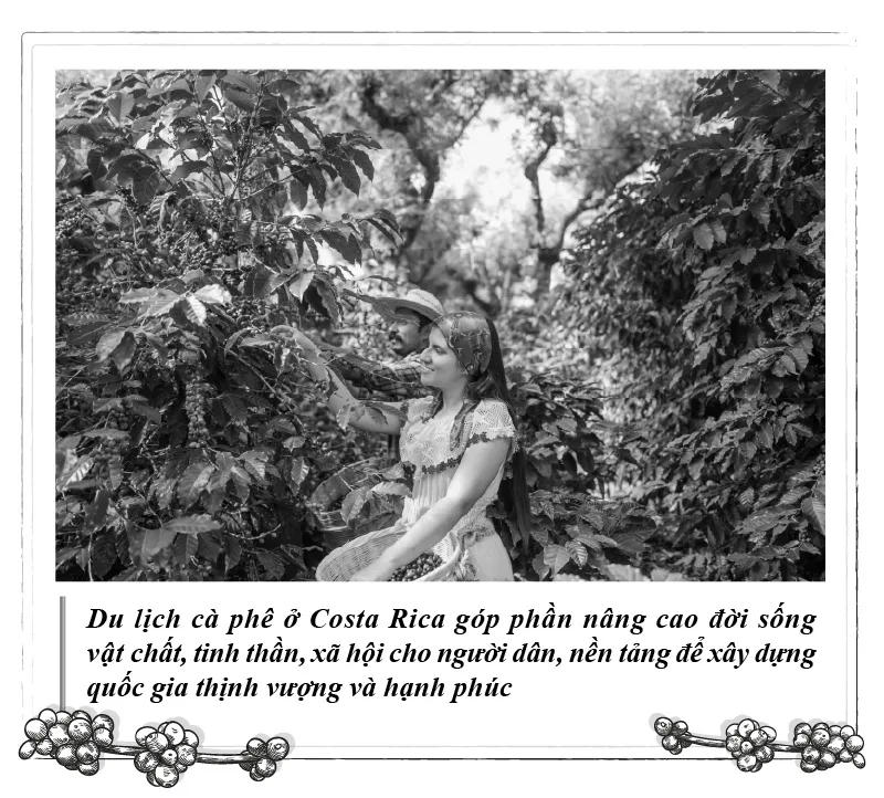 Cà phê - nền tảng phát triển của 'quốc gia hạnh phúc' Costa Rica - 第3张