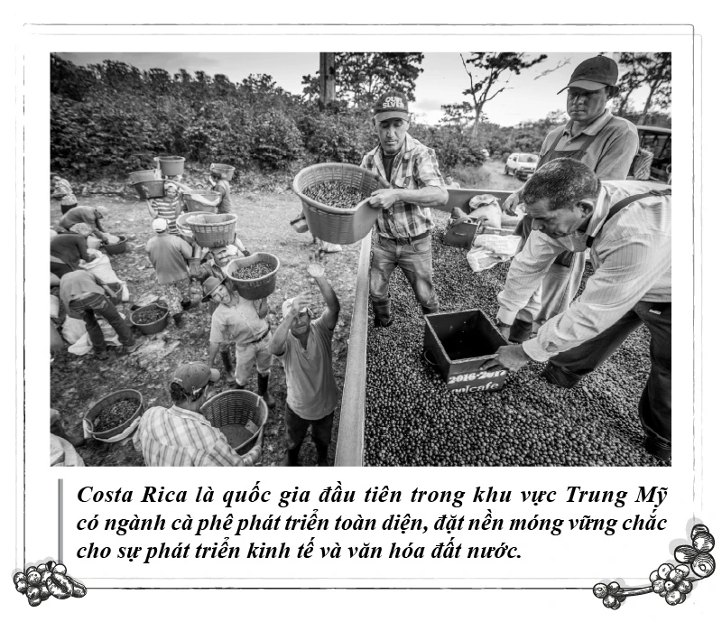 Cà phê - nền tảng phát triển của 'quốc gia hạnh phúc' Costa Rica - 第1张