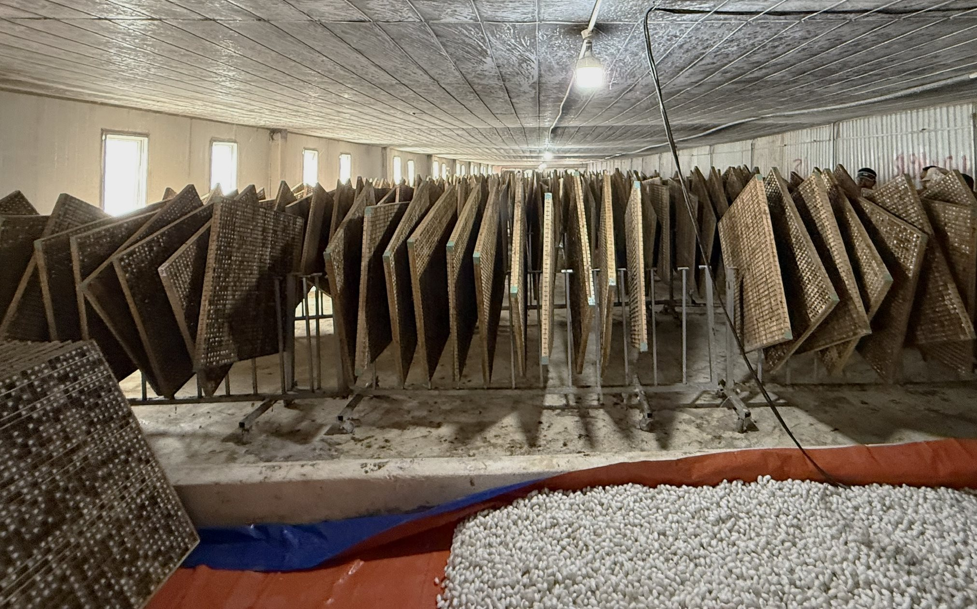 Bầu Đức hé lộ 'Công thức 70 USD' giúp Dâu Tằm lãi lớn - 第4张