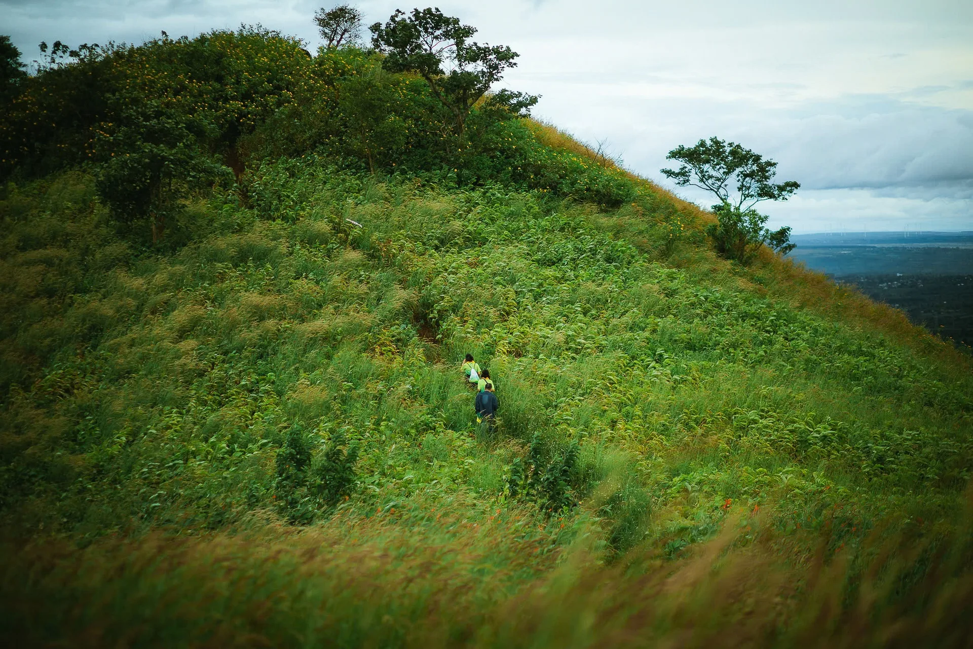 Miệng núi lửa triệu năm ở Gia Lai: Vùng xanh đẹp ngỡ ngàng - 第15张
