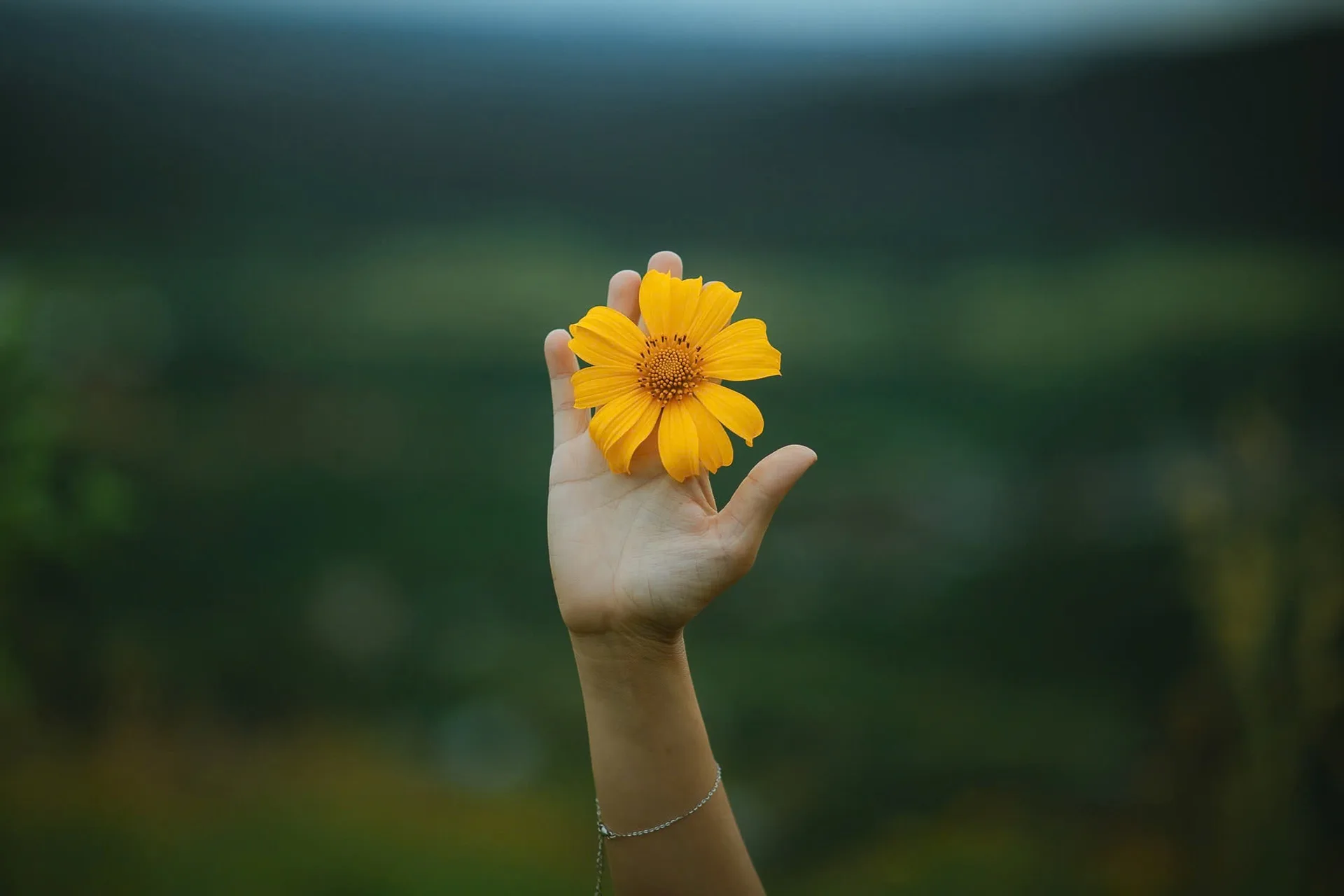 Miệng núi lửa triệu năm ở Gia Lai: Vùng xanh đẹp ngỡ ngàng - 第5张