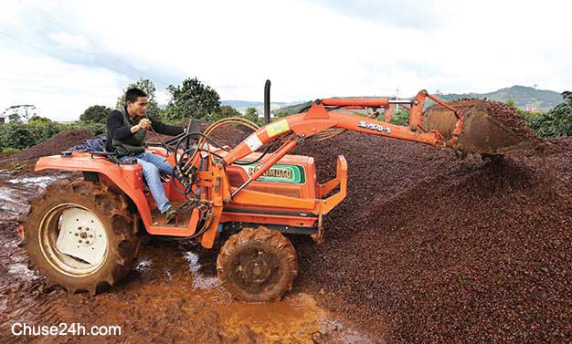 Nguyễn Văn Cao sản xuất phân bón cà phê từ vỏ cà phê tươi - Ảnh: Mai Vinh
