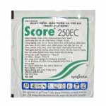 Cách nhận biết và Phòng ngừa bệnh Thối củ ở cây Gừng - 第3张