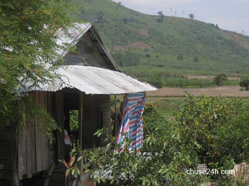Đắk Lắk: Bài thuốc bí truyền trị khỏi bệnh tiểu đường của phụ nữ Thái - 第1张