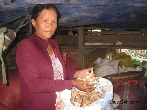 Đắk Lắk: Bài thuốc bí truyền trị khỏi bệnh tiểu đường của phụ nữ Thái