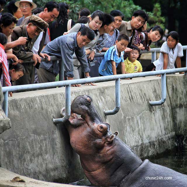 Những hình ảnh hiếm hoi tại đất nước Triều Tiên trên Instagram - 第10张