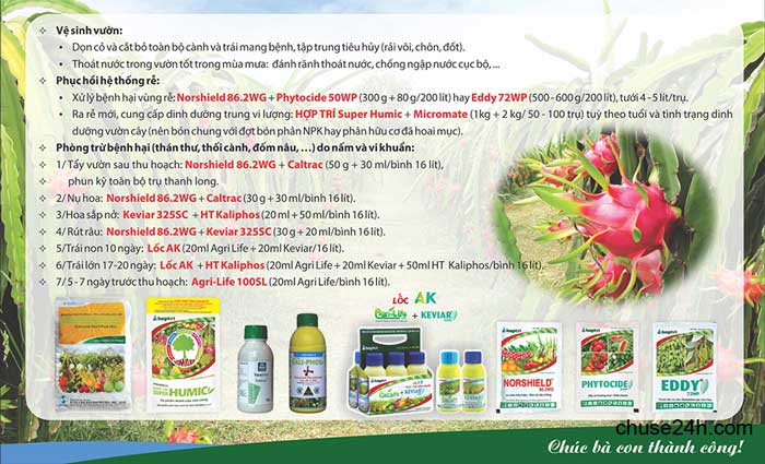 Quy trình phòng trừ bệnh hại trên Thanh Long - 第3张