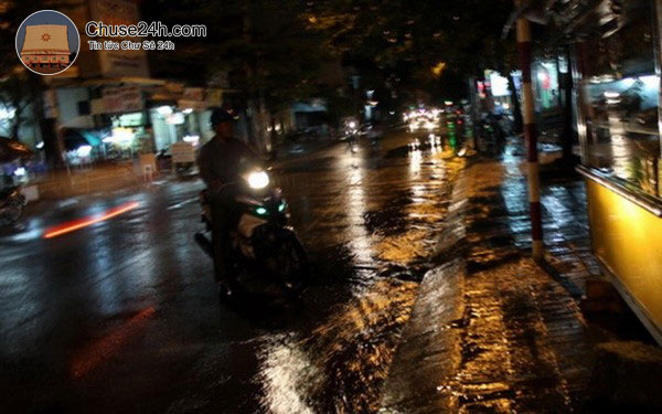 Vùng đại hạn Ninh Thuận xuất hiện cơn mưa vàng