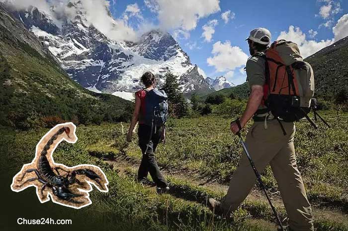 Mẹo phòng tránh côn trùng khi du lịch - 第1张