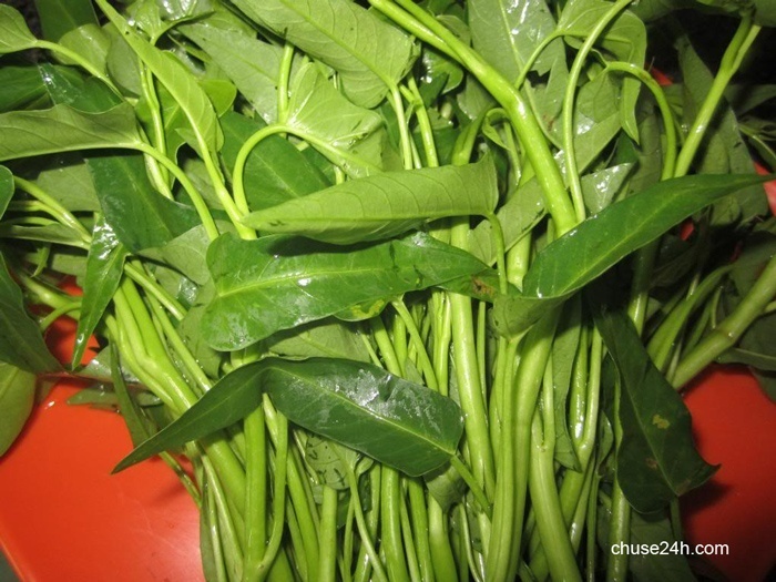 6 loại rau không nên ăn nhiều vào mùa hè vì rất hại - 第1张