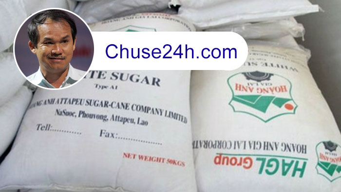 Hoàng Anh Gia Lai đã nhập 1.330 tấn đường - 第1张