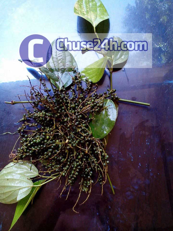 Tiêu chùm là loại tiêu gì? - 第1张