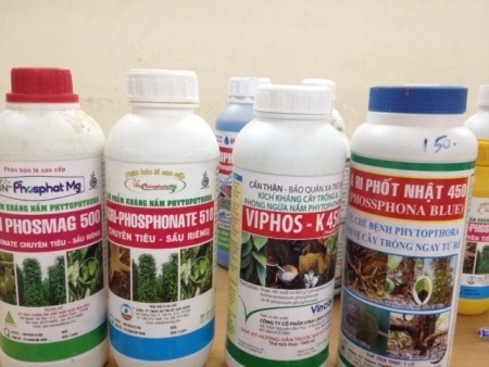 Các loại thuốc bảo vệ thực vật  nhái đang bày bán tràn lan trên thị trường