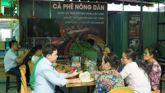 Cà phê nông dân, râm ran câu chuyện mai vàng ngày Tết