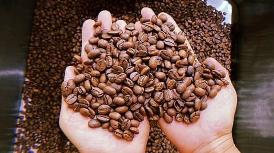 
                                                            Giá cà phê hôm nay 8/1/2024: Vẫn giữ trên mức 68.000 đ/kg                        