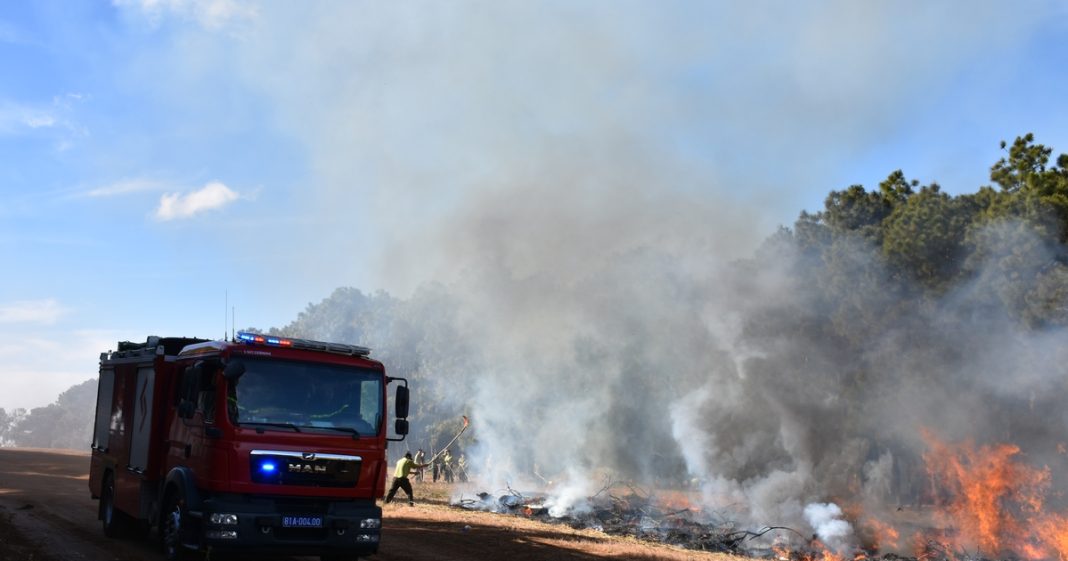 
 Tăng cường các biện pháp cấp bách để phòng cháy, chữa cháy rừng
