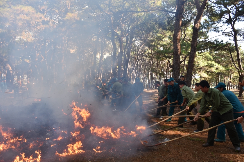 Lực lượng kiểm lâm và các chủ rừng tham gia diễn tập chữa cháy rừng cấp tỉnh năm 2023. Ảnh: L.N