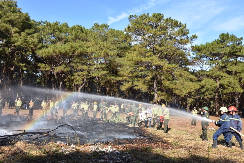 Lực lượng chức năng của tỉnh diễn tập phòng cháy chữa cháy rừng. Ảnh: Lê Nam