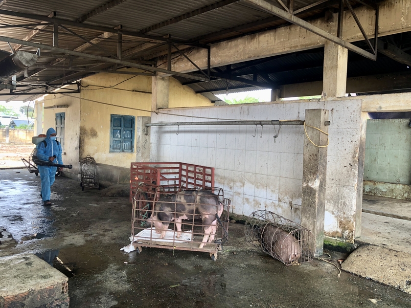 Tập trung triển khai phòng-chống dịch bệnh động vật trên cạn và thủy sản - 第3张