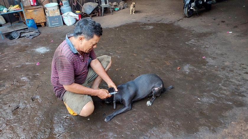 Người dân TP.Pleiku mua vắc xin tiêm phòng cho đàn chó nuôi. Ảnh: Nguyễn Diệp