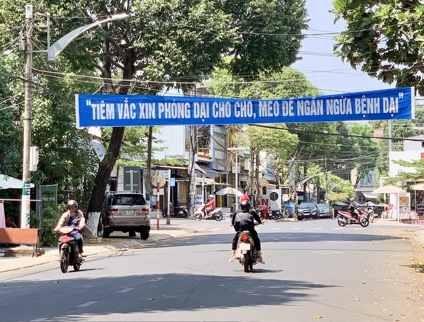 Gia Lai: Thêm 1 trẻ tử vong do bệnh dại - 第1张