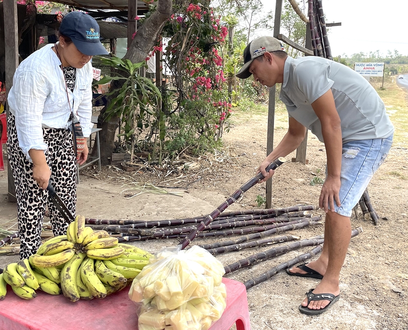 Mía được người dân chặt khúc nhỏ bán với giá 10-20 ngàn đồng/túi. Ảnh: L.G