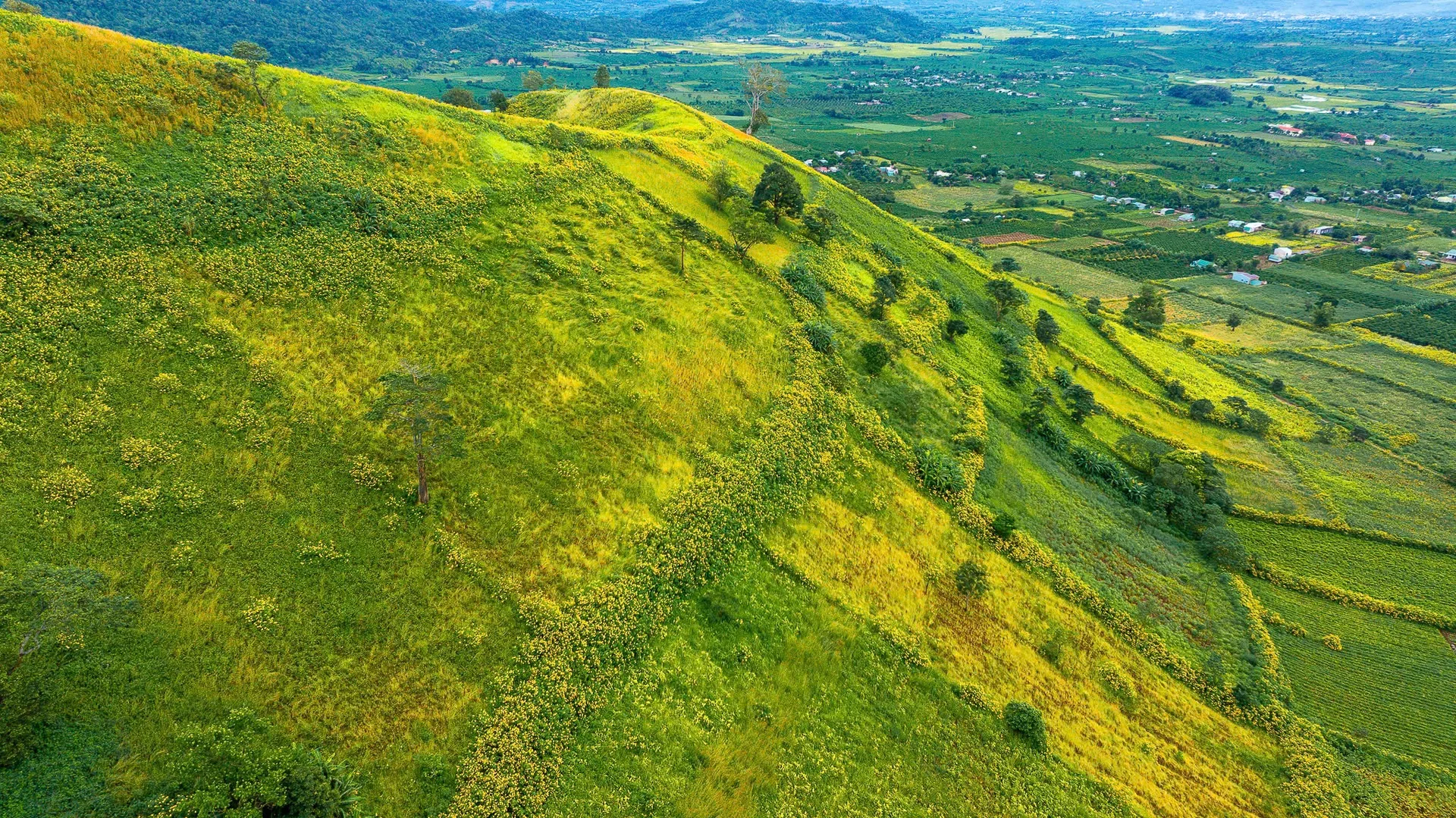 Miệng núi lửa triệu năm ở Gia Lai: Vùng xanh đẹp ngỡ ngàng