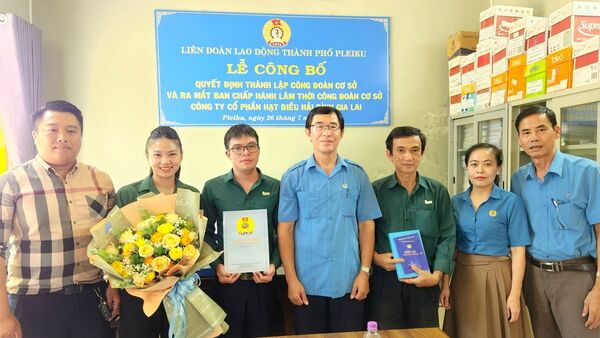 Liên đoàn Lao động tỉnh Gia Lai dẫn đầu Cụm thi đua năm 2023