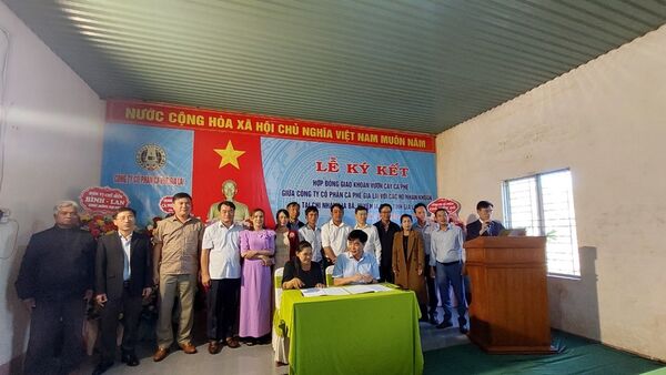 Công ty Cp Cà phê Gia Lai ký hợp đồng giao khoán