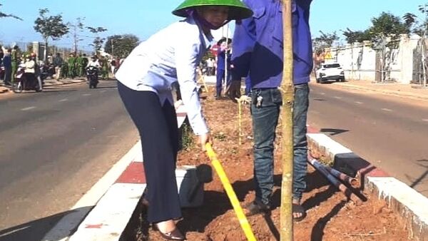 Chư Sê phát động Tết trồng cây “Đời đời nhớ ơn Bác Hồ”