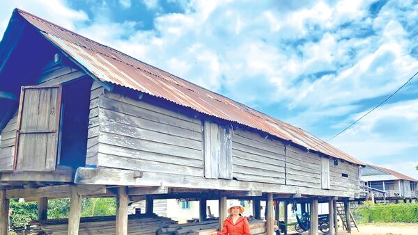 Xuôi về miền nắng