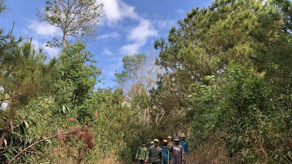 Chư Pưh chủ động phòng ngừa cháy rừng